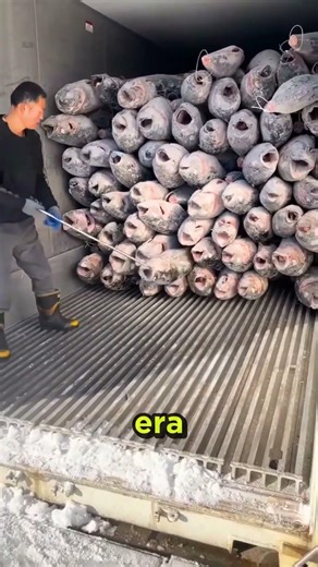 How to unload a truck full of fish in seconds with a simple trick! #shorts #curiosities