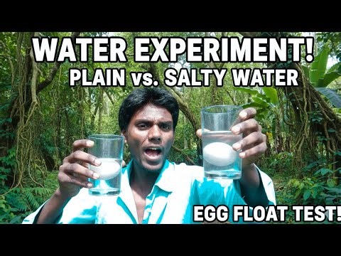 ​Why Does an Egg Float in Salt Water? 🥚 | Amazing Science Experiment!