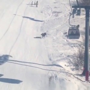 4.2K views · 19 reactions | Skiing Memes on Reels | Facebook