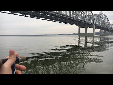 Walleye Smackdown -- Missouri River