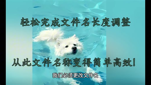 轻松完成文件名长度调整，从此文件名称变得简单高效！