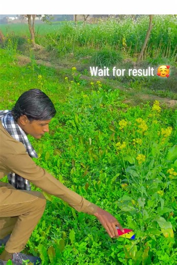 Account Unfreezing Explained: How to Restore Access