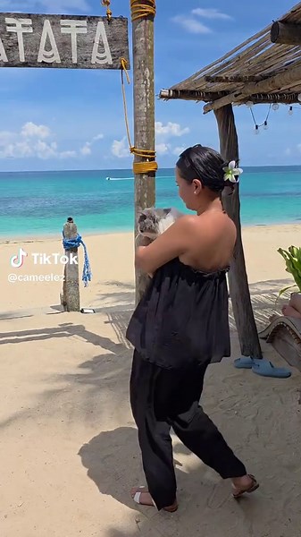 Saud Beach Resort: Pet-Friendly Getaway in Ilocos Norte