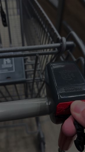 My new friend I found @ALDI USA #3dprinting #cartquarterkeeper #cartkeeper #aldi #aldifinds