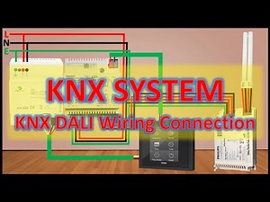 KNX System KNX DALI Wiring Connection | Electrical Engineering Basics #knx #electrical #engineering