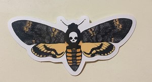 Deaths-head Moth - Etsy
