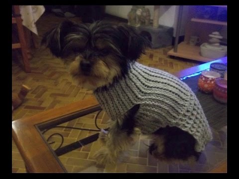 Crochet dog coat, simple, easy and quick @AlextitiaTutoCrochet