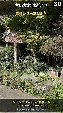 【難問】ちいかわを見つけたらコメントで教えてね🕐 草むしり検定に挑戦！