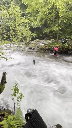 19K views · 194 reactions | Can this paddle be saved? Check back tomorrow to see what happened next. #wernerpaddles #healthywaters #ultimatepaddleperformance #bomberreliability Thank you Neven Dilkov for capturing this and Stanimir Stanimirov, Valentin Tsekov, and Andrey Yakovlev for your involvement. | Werner Paddles | Facebook