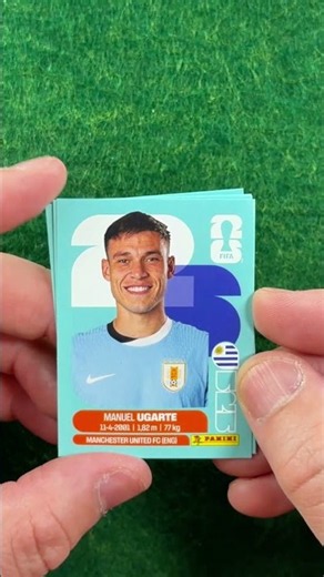 FIFA World Cup 26 Panini Stickers #fifaworldcup #panini #stickeropening #worldcup #football #soccer