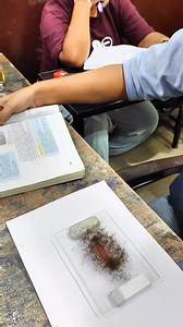 Magnetic field demonstration with iron fillings and magnet 🧭🧲 #science #scienceguru #physicsexperiment | Science Guru Shivam