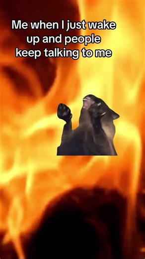 Angry Cat Screaming Fire Meme Compilation