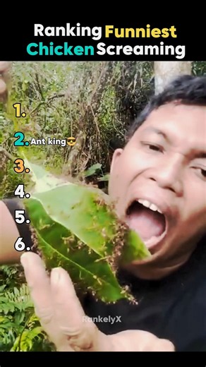 Ranking Funniest Chicken Screaming!