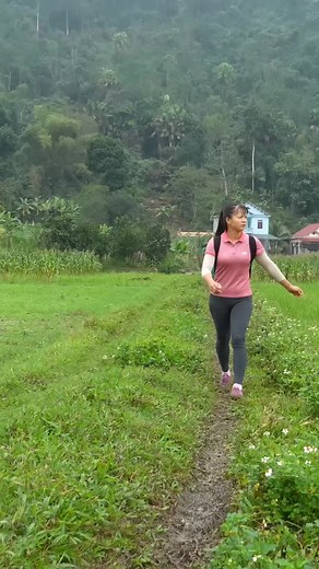 Harvesting 1000 Dragon Fruit: From Garden to Market