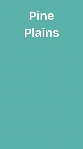 Local films by local filmmakers! The Pine Plains Festival of Short Films! November 1 & 2. Raising funds to upgrade Stissing Center’s film screening equipment. Link in bio! | The Stissing Center for Arts and Culture