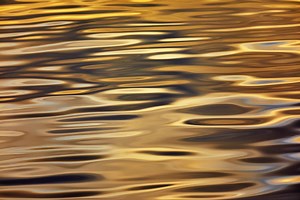 Bachelor of Psychological Science (Honours) - HS-22002