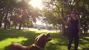 Chuckit! Sport 26L Ball Launcher Fetch Dog Toy, 26" L, for Large Dog Balls (3") for Dogs 60-100 lb, 1 Launcher with Ball