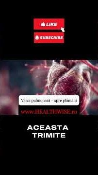 Inima ca o casă cu patru uși: cum circulă sângele corect #healthwise #sanatateainimii