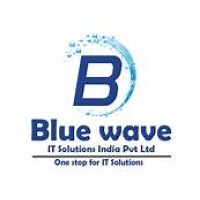 Blue Wave IT Solutions India Pvt. Ltd. | LinkedIn
