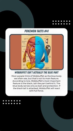 Wobbuffet Isn't Actually the Blue Part