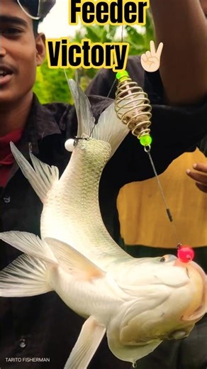 Feeder Victory! Raja Finally Lands the Big Catla for the Feast 🎣🔥