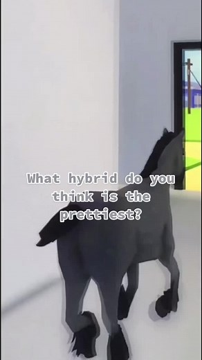 Andalusian x Quarter Horse Hybrid in Horse Valley