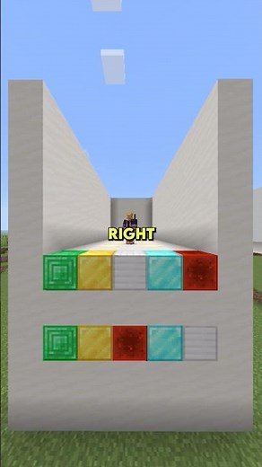 Guess The Block Order Minecraft Challenge! 😲