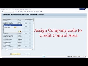 Assign company code to credit control area in SAP