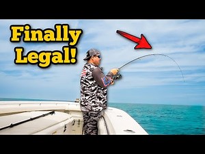 Offshore Fishing in Destin FL