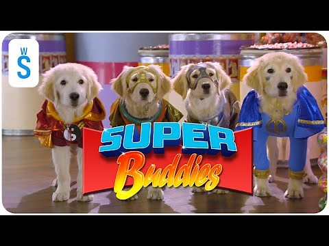 Super Buddies (2013) | Scene: The buds stop 2 robbers robbing a candy store