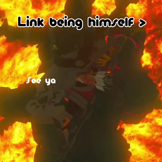 Zelda Breath of the Wild Meme Compilation