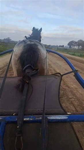 VR photo | Tom Verdonck