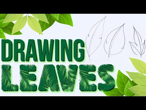 Drawing Basics | Easy Way To Draw A Leaf