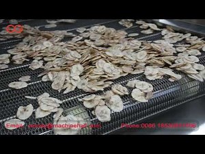 Banana Chips Manufacturing Process