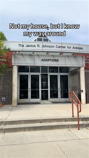 The Humane Society of Utah may not be your house, but we hope it feels like home to you! 💜 Visit us and our adoptable pets today at 4242 S 300 W, Murray, UT 84107 🐾 | Humane Society of Utah