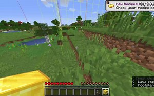 [zylenox]废门恩开4金块