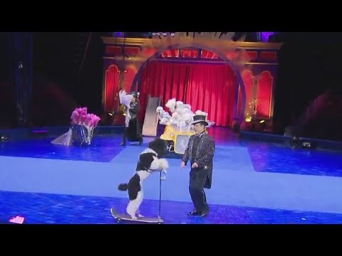 Big Apple Circus returns to NYC