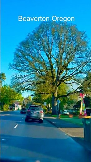 Beaverton Oregon #oregon #trip #viaje