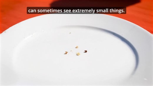 CVI: A Disabling Visual Impairment (Even When You Can See Small Things)