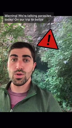 Understanding the Lifecycle of the Human Botfly