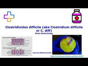 Clostridium difficile (C. diff) Lecture