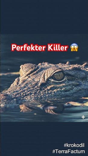 Why crocodiles are perfect killers 🐊