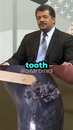 Neil deGrasse Tyson on Tooth Fairy 🧚‍♀️