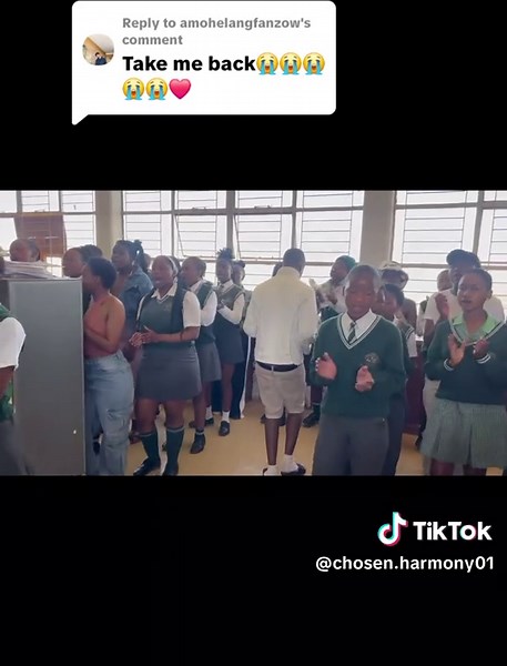 Chosen Harmony: A Heartfelt Response to Fans