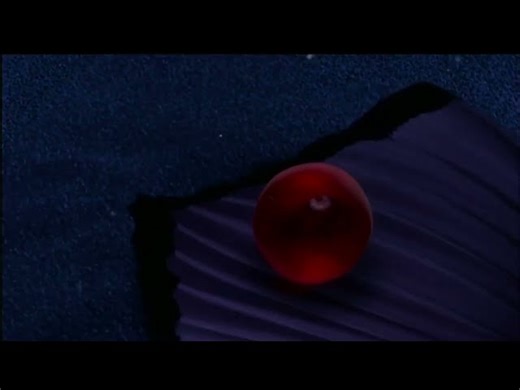 Finding Nemo - Nemo Is Born