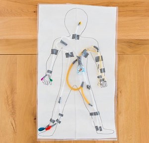 Re-Engineering the Circulatory System: Biology & Engineering Science Activity | #MakerEducation