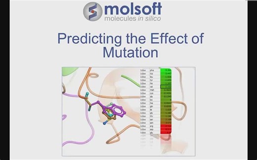 预测突变对蛋白质稳定性和结合的影响-Predicting Effect of Mutation on Protein Stability and Binding