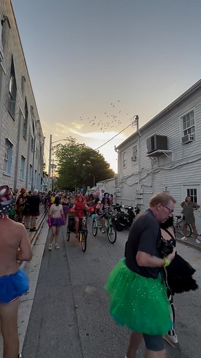 The Tutu Tuesday parade has begun on Duval Street!!! #FantasyFest #keywest #floridakeys #festival #conchrepublic #keywestfantasyfest #costumes #creativiy #onlyinkeywest | Fantasy Fest