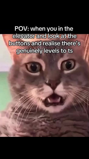 #meme #funny #fypp #joke #ts