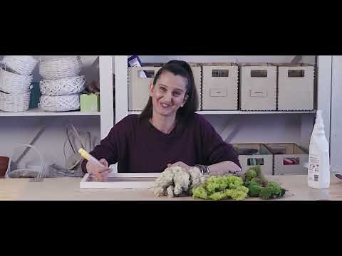 Tutorial. Tablou cu mușchi și licheni stabilizați